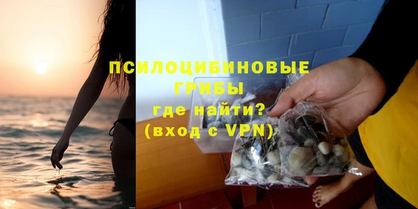 ECSTASY Медвежьегорск