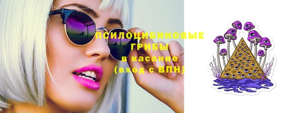 соль ск Аркадак