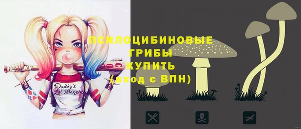 метадон Армянск