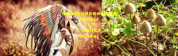 соль ск Аркадак